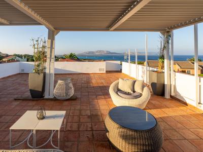 Terrasse mit Meerblick, moderne Möbel und Pflanzen.